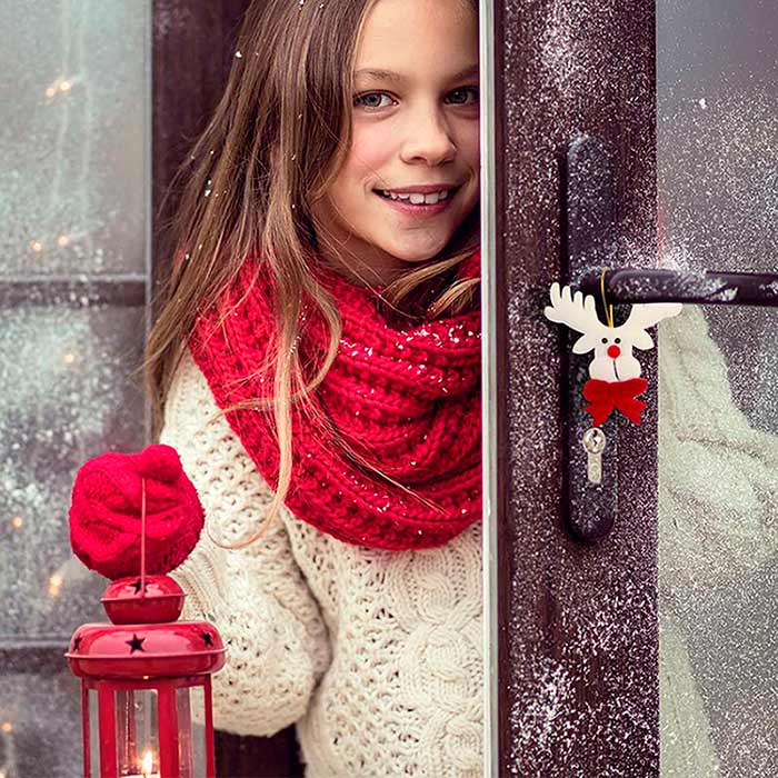 Set Tainox navideño  publicitario