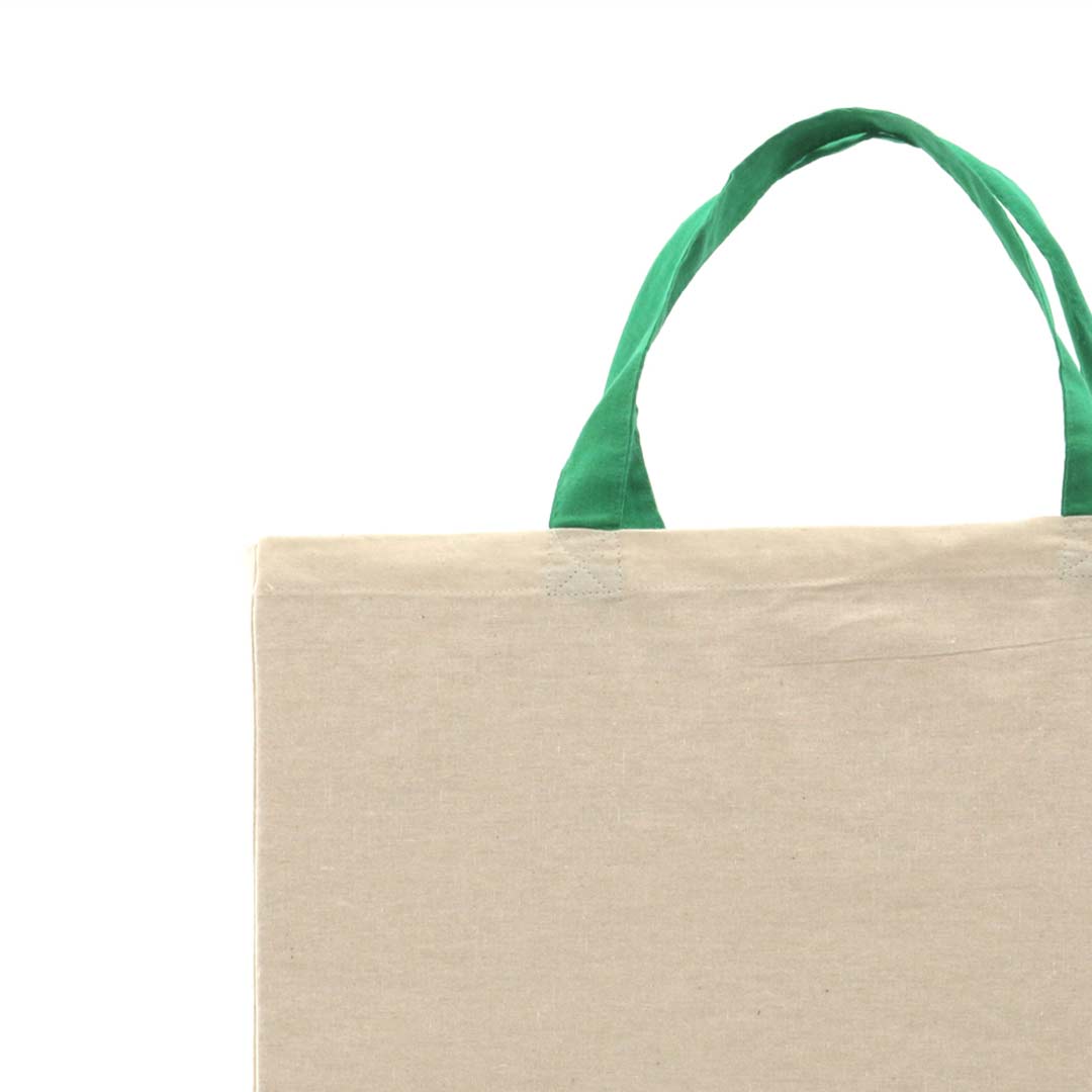 Bolsa Aloe  ecológica