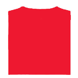 Camiseta Adulto Tecnic Plus rojo